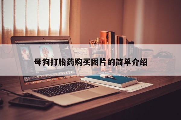 私人哪里有卖打胎药的母狗打胎药购买图片的简单介绍